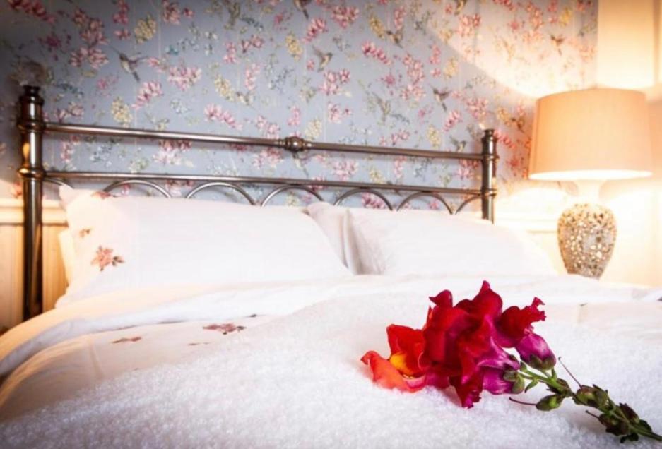 The Blue Cat Hotel Kenmare Bagian luar foto